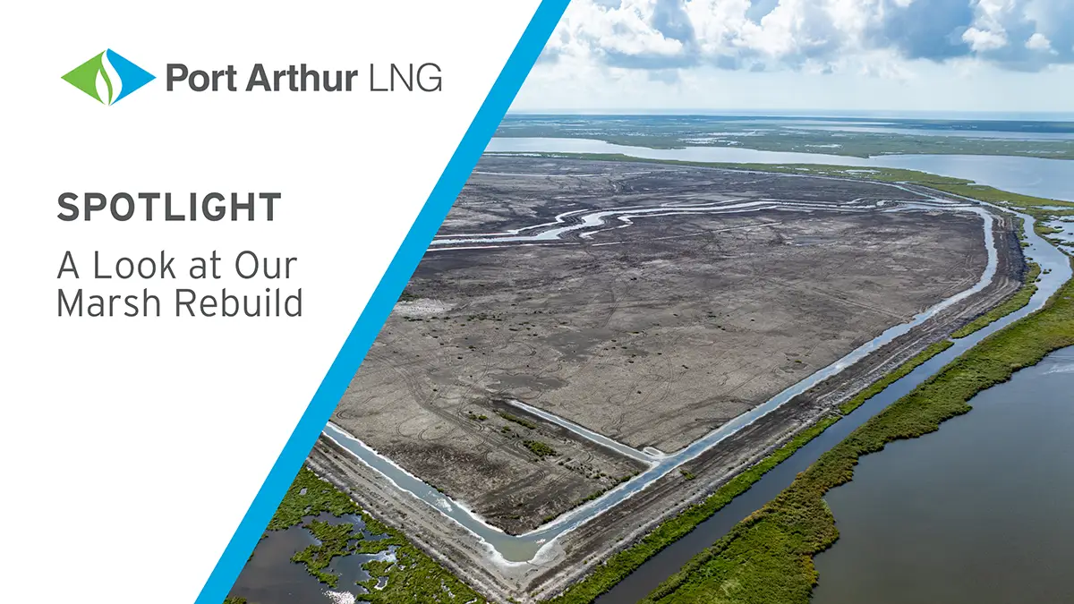 Spotlight Port Arthur LNG Marsh Rebuild